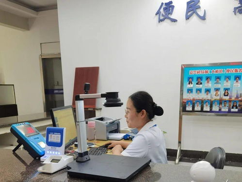 嘉興科技城大橋鎮便民服務中心公用事業服務窗口正式啟用，提供全域通辦與信息技術咨詢服務